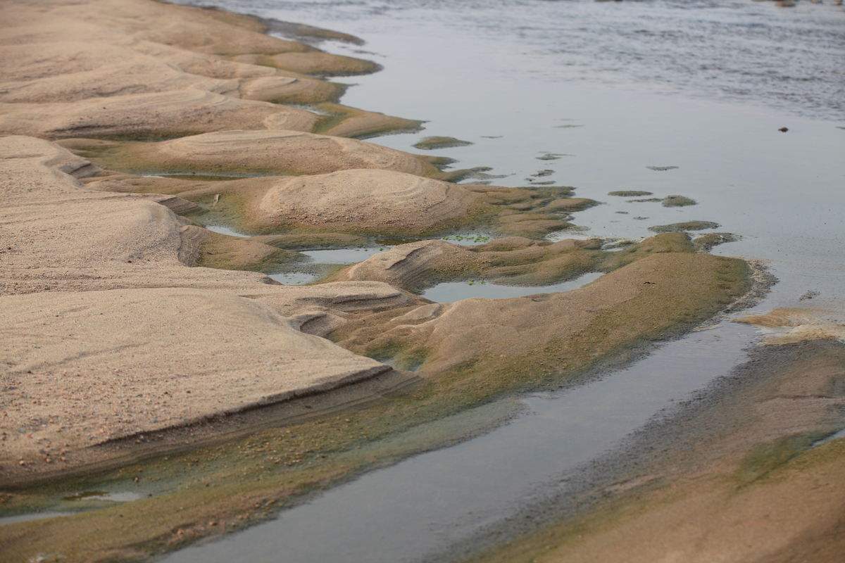 河沙開采